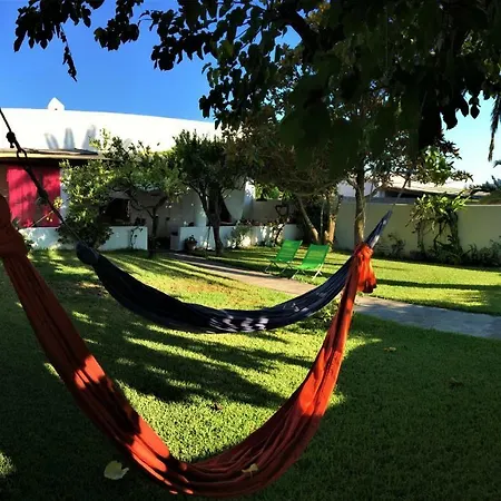Armonica Casa Con Giardino Piscita *